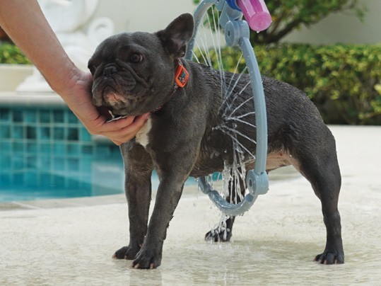 מכשיר לרחיצת כלבים בקלות ובמהירות! ווף ווש WOOF WASHER 360 – תמונה 4