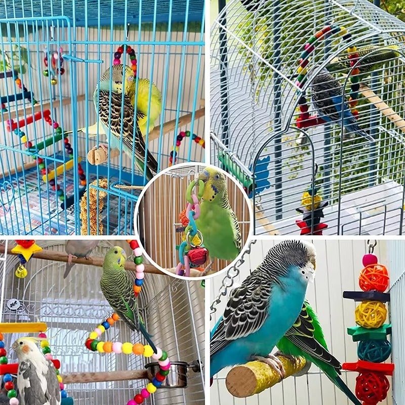 צעצועים לתוכים וציפורים – סט 6 אביזרי עץ איכותיים ובטוחים – תמונה 4