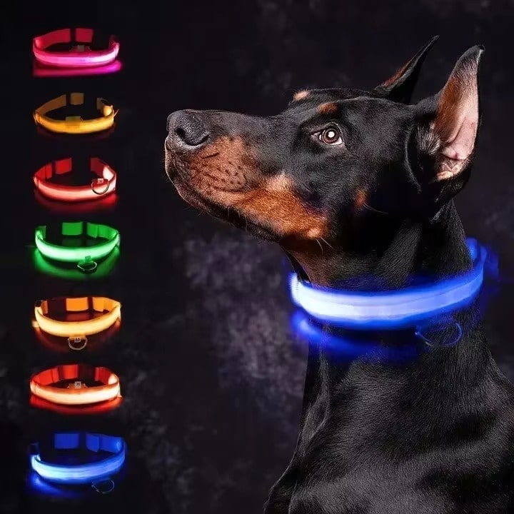 קולר LED לכלב זוהר בחושך לבטיחות ונראות מרחוק