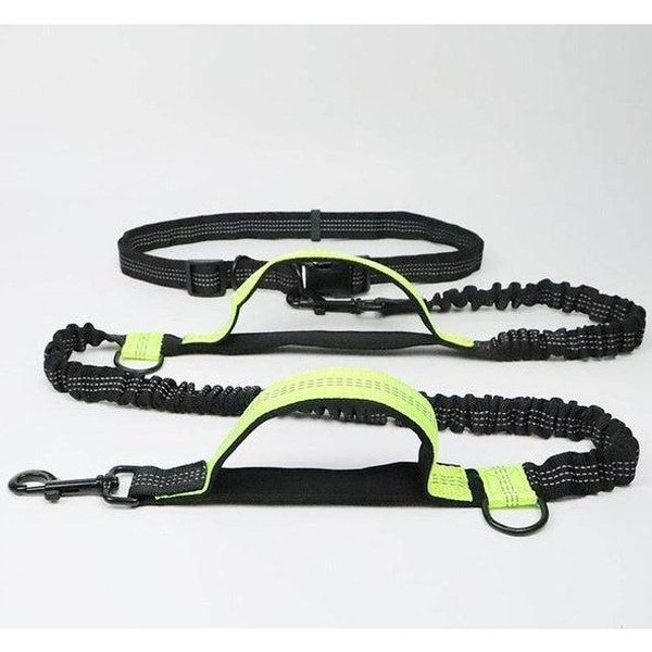 רצועת ריצה לכלב עם חגורת מותניים ובולם זעזועים מחזיר אור – תמונה 5