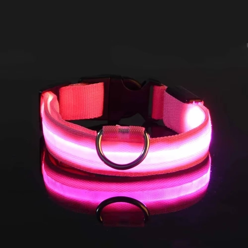 קולר LED לכלב זוהר בחושך לבטיחות ונראות מרחוק – תמונה 6